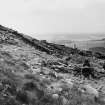 Dunion Hill excavation photograph.
Area C.