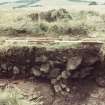 Biggar Common cairn excavation archive
Cairn 1: Looking W.