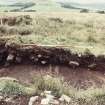 Biggar Common cairn excavation archive
Cairn 1: northern half. Looking W.