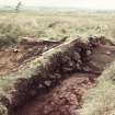 Biggar Common cairn excavation archive
Cairn 1. Looking N.