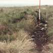 Biggar Common cairn excavation archive
Cairn 1, pre-excavation, looking N.