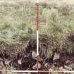 Biggar Common cairn excavation archive
Cairn 1. Looking W