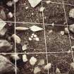 Biggar Common cairn excavation archive
Cairn 1. Close-up of quartz pebbles.