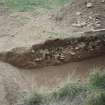 Broomhill, Newstead: rescue excavation archive
Frame 10: General view.





