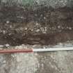 Broomhill, Newstead: rescue excavation archive
Frame 12: Trench 1 stripped of topsoil, looking towards hollow-way at E end.






