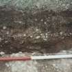 Broomhill, Newstead: rescue excavation archive
Frame 13: Road surface (F003) looking from W to E.






