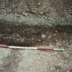 Broomhill, Newstead: rescue excavation archive
Frame 14: Road surface (F003) looking from W to E.






