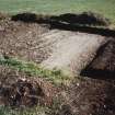 Broomhill, Newstead: rescue excavation archive
Frame 17: Road surface (F003) looking from E to W.






