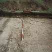 Broomhill, Newstead: rescue excavation archive
Frame 5: General view.






