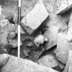 Excavations carried out in 1950 by Professor Stuart Piggott