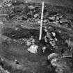 Excavation photograph: core of middle bank and scree resting on silt of Inner Fosse.