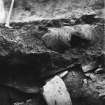 Excavation Photograph: Whale's head in midden over passage A. pl.xii.2.