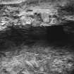 Excavation Photograph: Hut 7, stags head in sand. pl.xxxiii.1.