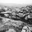 Excavation Childe Collection