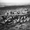 Excavation Childe Collection