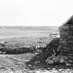 Outbuildings and horse whin from Northwest.