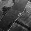 Overhailes, enclosure: oblique air photograph showing cropmarks.
