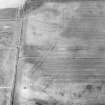 Oblique aerial view centred on the cropmarks of the enclosures, ring-ditches, pits, possible long barrow and timber halls, taken from the SE.