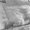 Oblique aerial view centred on the cropmarks of the enclosures, ring-ditches, pits, possible long barrow and timber halls, taken from the W.