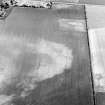 Oblique aerial view centred on the cropmarks of the enclosures, ring-ditches, pits, possible long barrow and timber halls with the farmhouse and farmsteading adjacent, taken from the WSW.