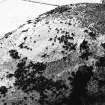 Berry Hill, enclosure: aerial view under snow.