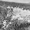 Sands of Forvie, settlement: oblique air photograph.