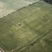 Huntington, settlement, barrow and linear cropmark: oblique air photograph of cropmarks.
John Dent: 92.33.37