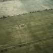 Huntington, settlement, barrow and linear cropmark: oblique air photograph of cropmarks.
John Dent: 92.33.36
