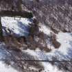 Aerial view of Rothiemurchus Old Parish Church and Burial Ground,  near Aviemore, Strathspey, looking E.