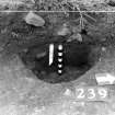 Castle of Wardhouse excavation archive
Frame 17: Area 2: East-facing half-section in W baulk of post-hole 239. From E.
Farme 18: Area 2: North-facing half-section of post-hole, 1m to NE of post-hole 204. From N.