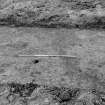 Excavation photograph : area 8, several features (slot with four post holes?) at west end of trench.