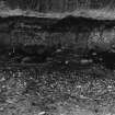 Excavation photograph : relationship between features 102 and 103.