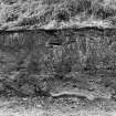 Excavation photograph : relationship and deposits around features 102 and 103 (one of series of overlaps to west end of section)