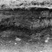 Excavation photograph : relationship and deposits around features 102 and 103 (one of series of overlaps to west end of section)
