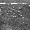 Excavation photograph : f022 - cobbled in SW quarter of trench, from south.