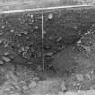 Excavation photograph : area 5 - box C section from south.