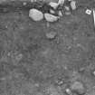 Excavation photograph : area 5 - charcoal spread f4073 from south-east.