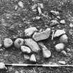 Excavation photograph : area 7 - f4503, group of stones, from east.