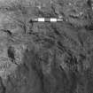 Excavation photographs: Hut circle 10/1.  Carbonised wattle lining along inner face of hut circle 10/1; general view of NE quadrant of 10/1; general views of cairn 10/2