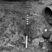 Excavation photograph : soil stain in cist 5, with food vessel 28.