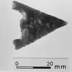 Post excavation photograph : bronze age barbed and tanged arrowhead (SF 54)