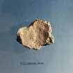 Post excavation photograph : Neolithic vessel sherd (SF 9) reverse.
(ref. A 6992-4)