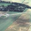 Aerial view of Brackla ring ditch cropmarks, airfield and distillery, near Cawdor, E of Inverness, looking SE.