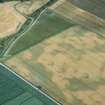 Aerial view of Kinchyle ring ditch cropmarks, near Delnies, Nairn, looking SW.