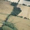 Aerial view of Crow Wood ring ditch cropmark, Muir of Ord, Easter Ross, looking E.