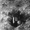 Braidwood: excavation photograph (1947), posthole 8. Note contact between 'foreign' packing stones and native rock.