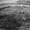 Braidwood: excavation photograph (1947).
Poles in postholes 6/9, 5/8, 3A/6a. Loose cobbles on socket at posthole 4/7.
