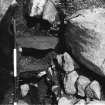 Excavation photograph : section D-E showing oak log from above.
