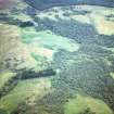 Aerial view of Balacaraig settlement and rig and furrow, Glenmuick, Aberdeenshire, looking SSE.