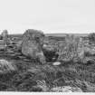 Steinacleit Stones General views